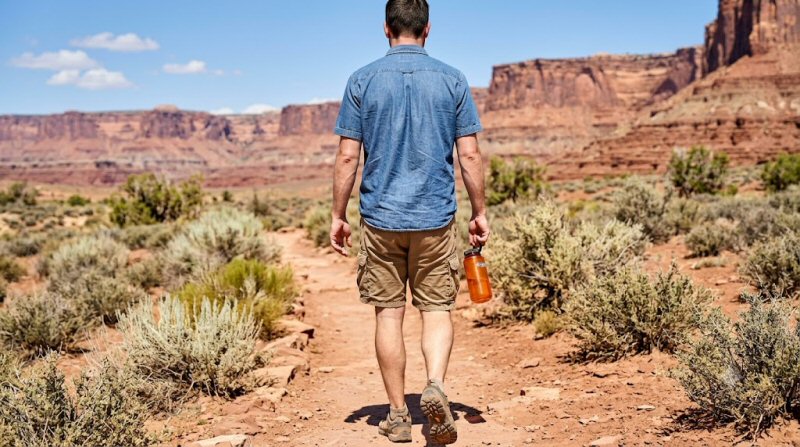 Why Your Multifidus Still Expects a Walking Day